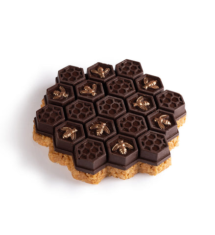 Rosh Hashanah Chocolate/Peanutchew Honeycomb